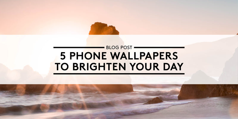 5 Phone Wallpapers to Brighten Your Day