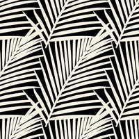 Paula Top - FRAGMENT