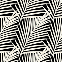 Paula Top - FRAGMENT